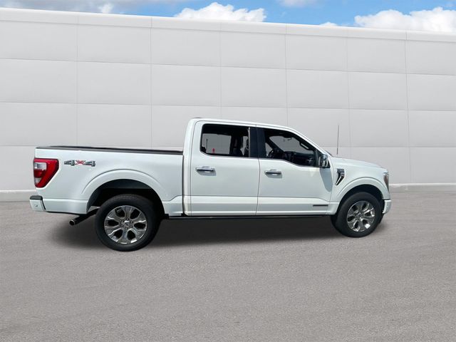 2023 Ford F-150 Platinum photo 8