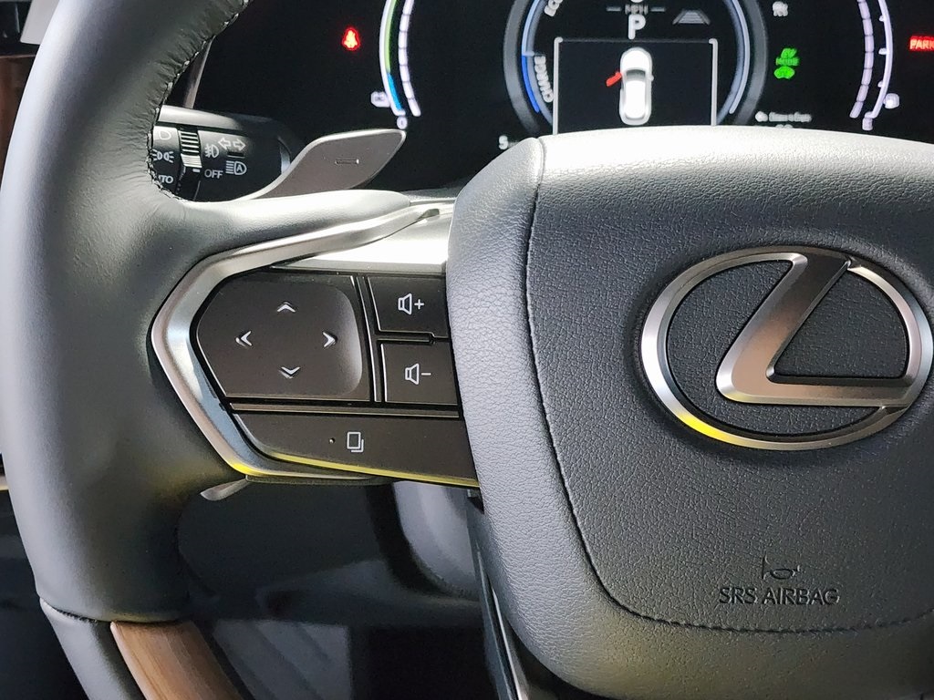 2025 Lexus RX 450h+ Luxury AWD photo 14