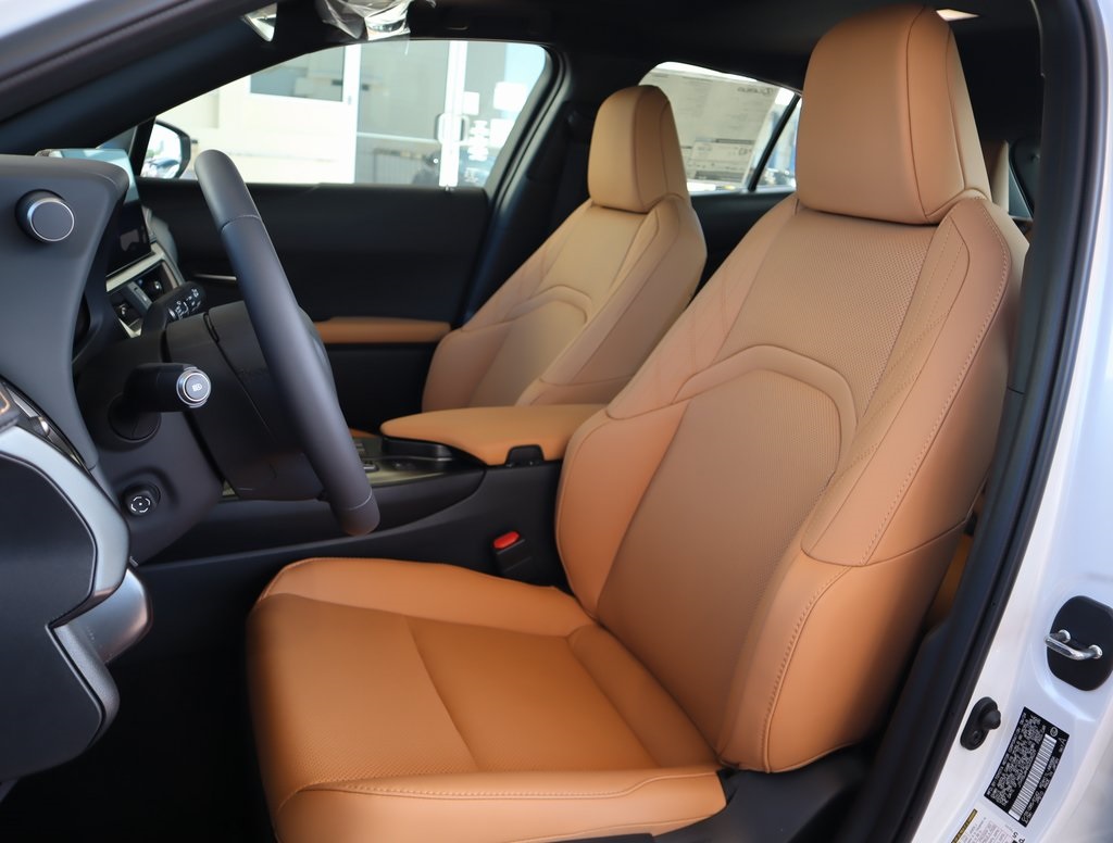 2025 Lexus UX photo 22