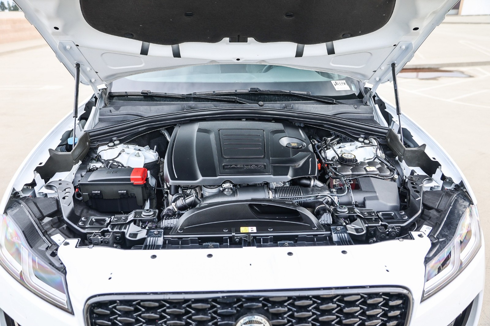 2024 Jaguar F-PACE P250 R-Dynamic S photo 26