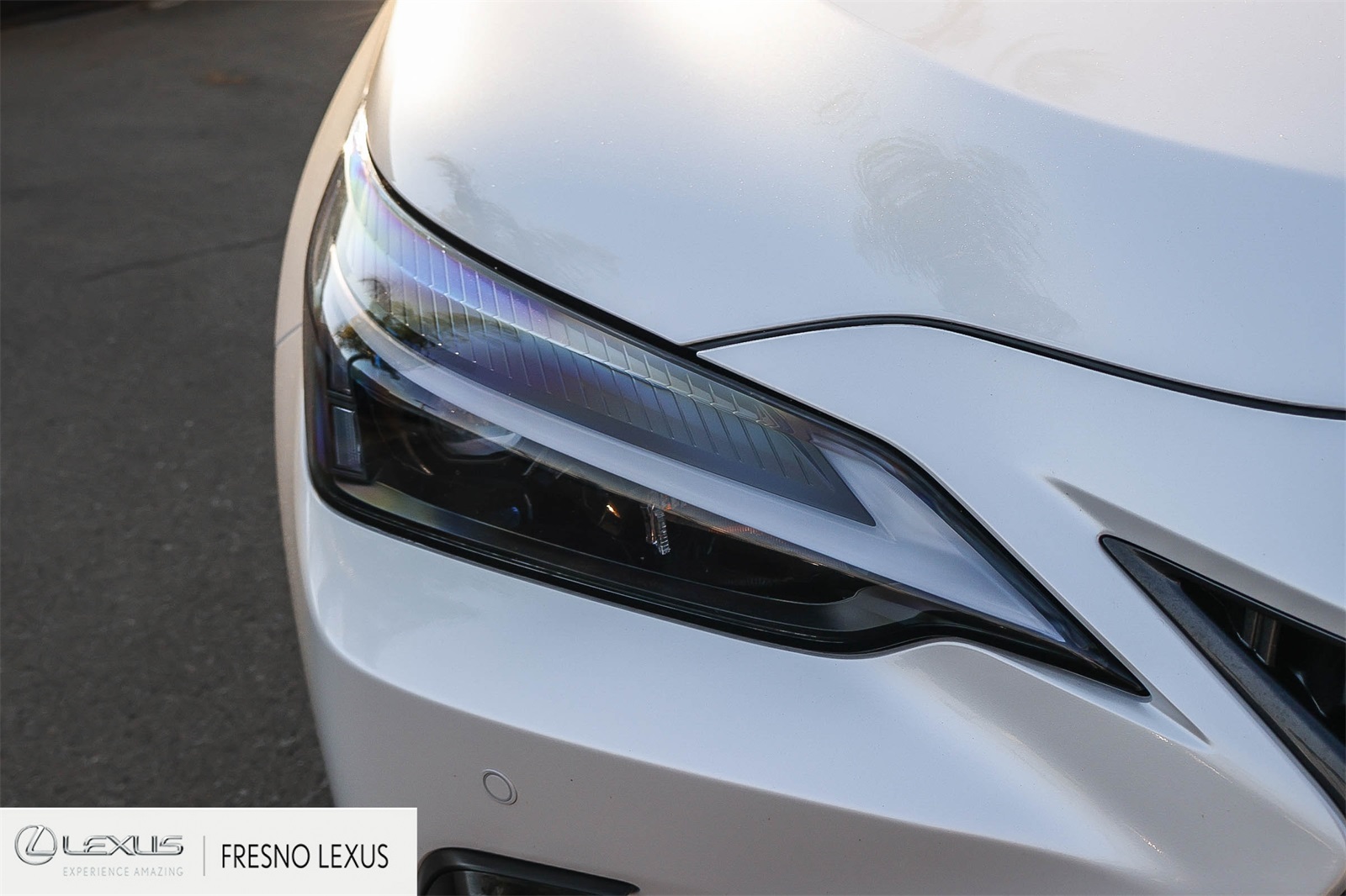 2022 Lexus NX 350h Premium photo 9
