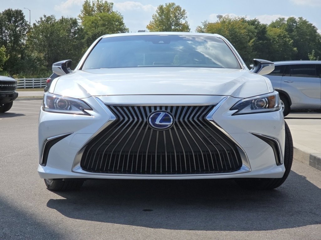 2019 Lexus ES 300h Luxury photo 3