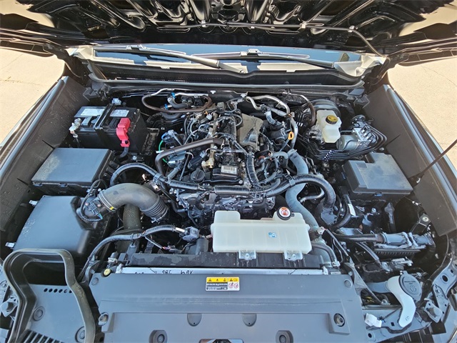 2024 Toyota Tacoma SR5 photo 7