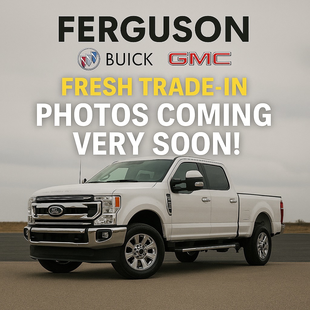 2020 Ford F-150 Platinum's photo