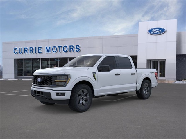 2025 Ford F-150 STX's photo