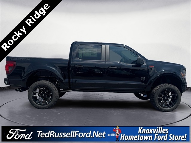 2025 Ford F-150 STX photo 4