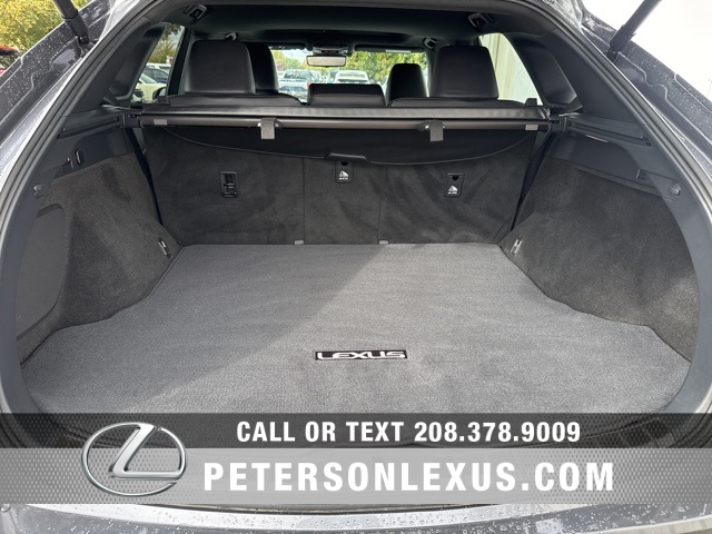 2024 Lexus RX 350h Premium photo 18