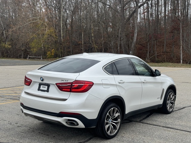 2019 Bmw X6 xDrive35i photo 4