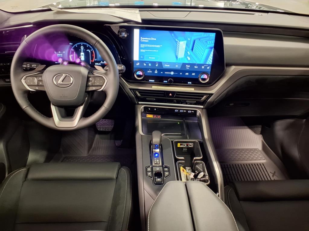 2025 Lexus TX 350 Luxury photo 10