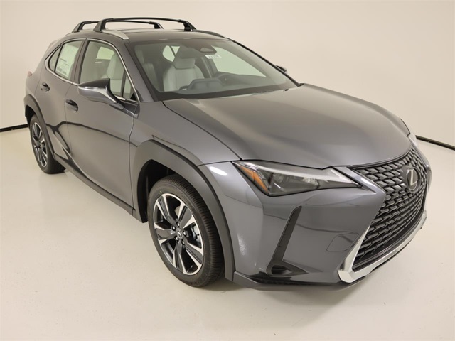 2025 Lexus UX photo 6