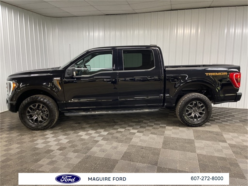2023 Ford F-150 Tremor photo 10