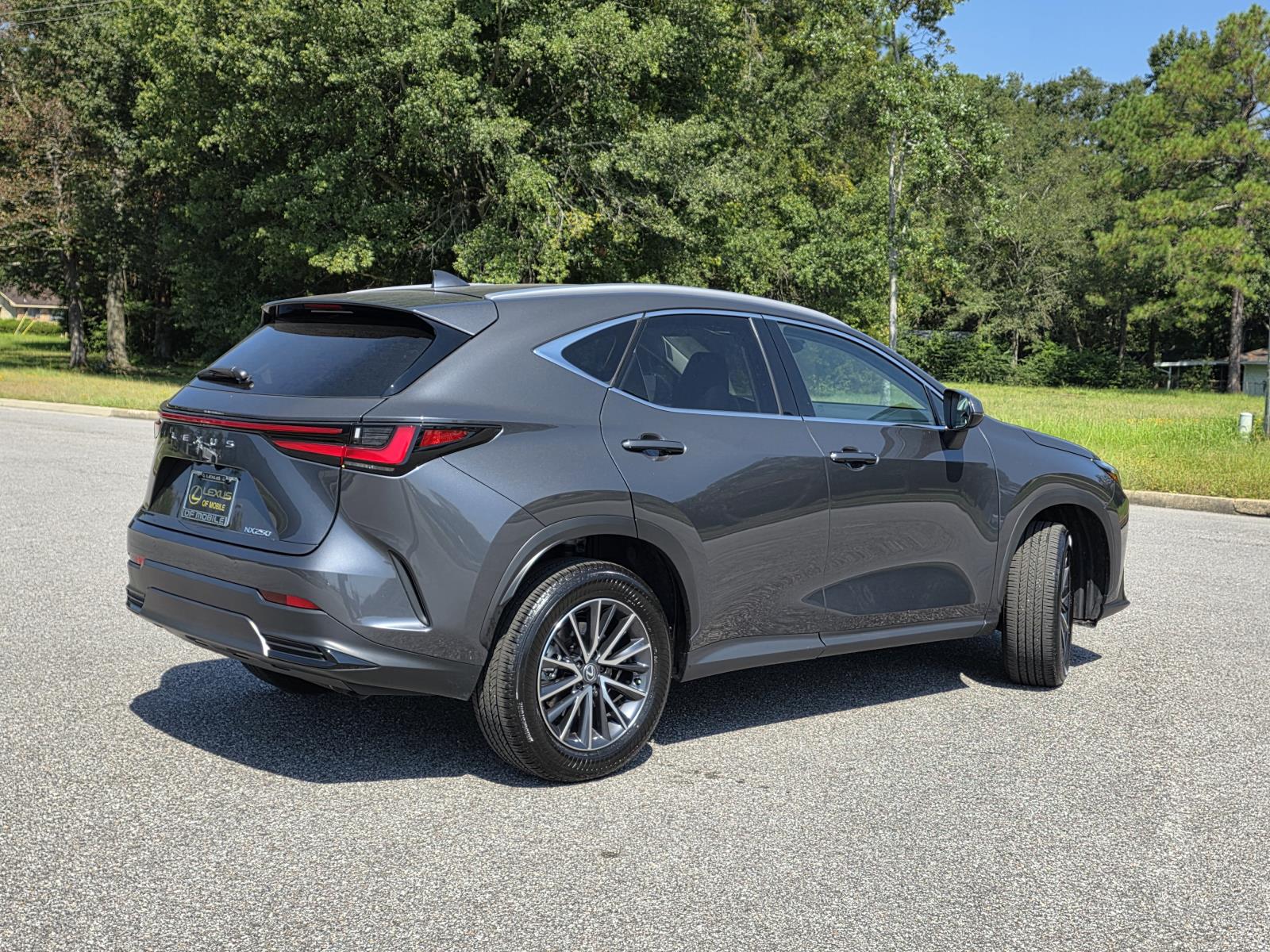 2025 Lexus NX 250 photo 3