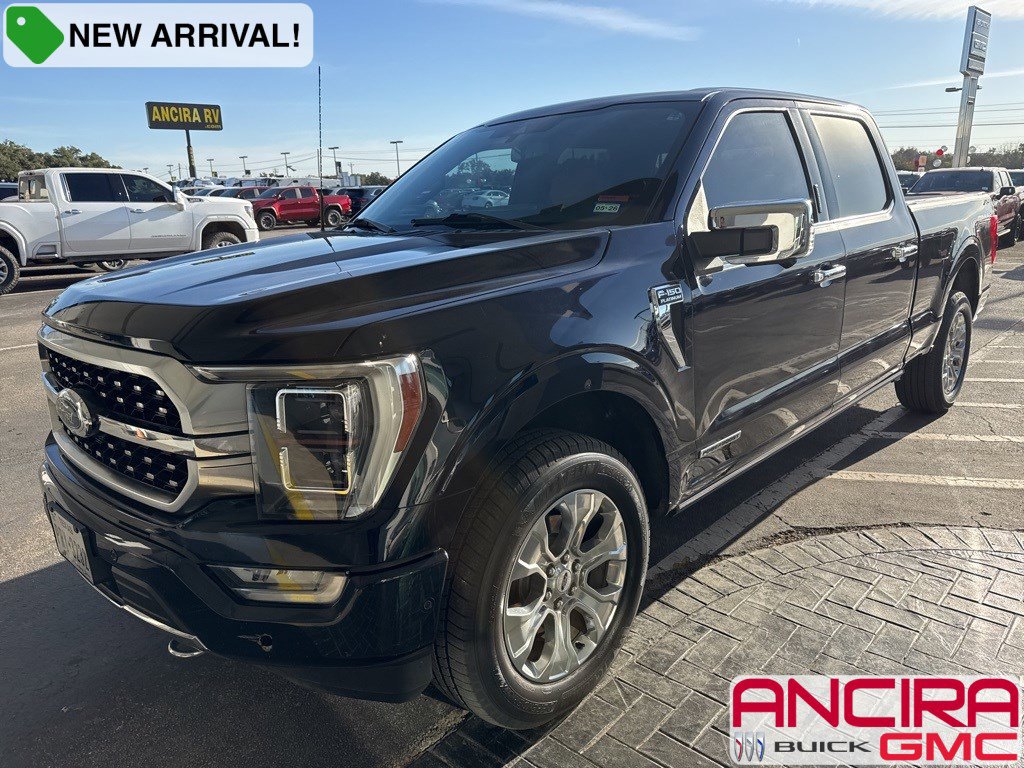 2021 Ford F-150 Platinum's photo