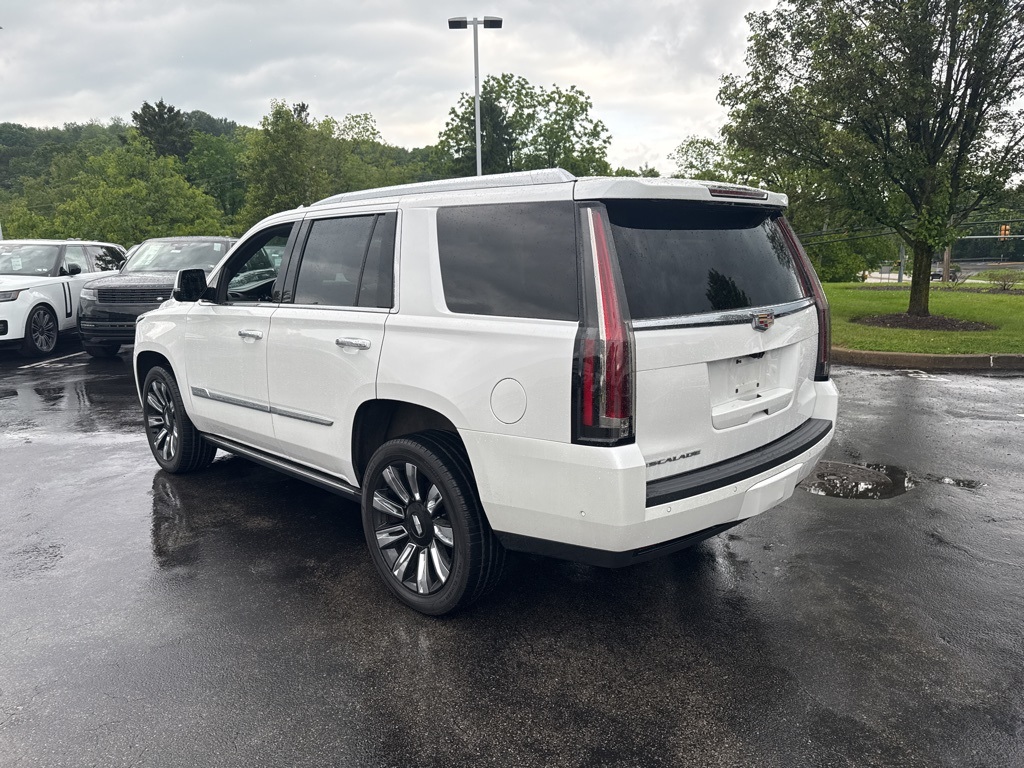 2020 Cadillac Escalade Platinum photo 3