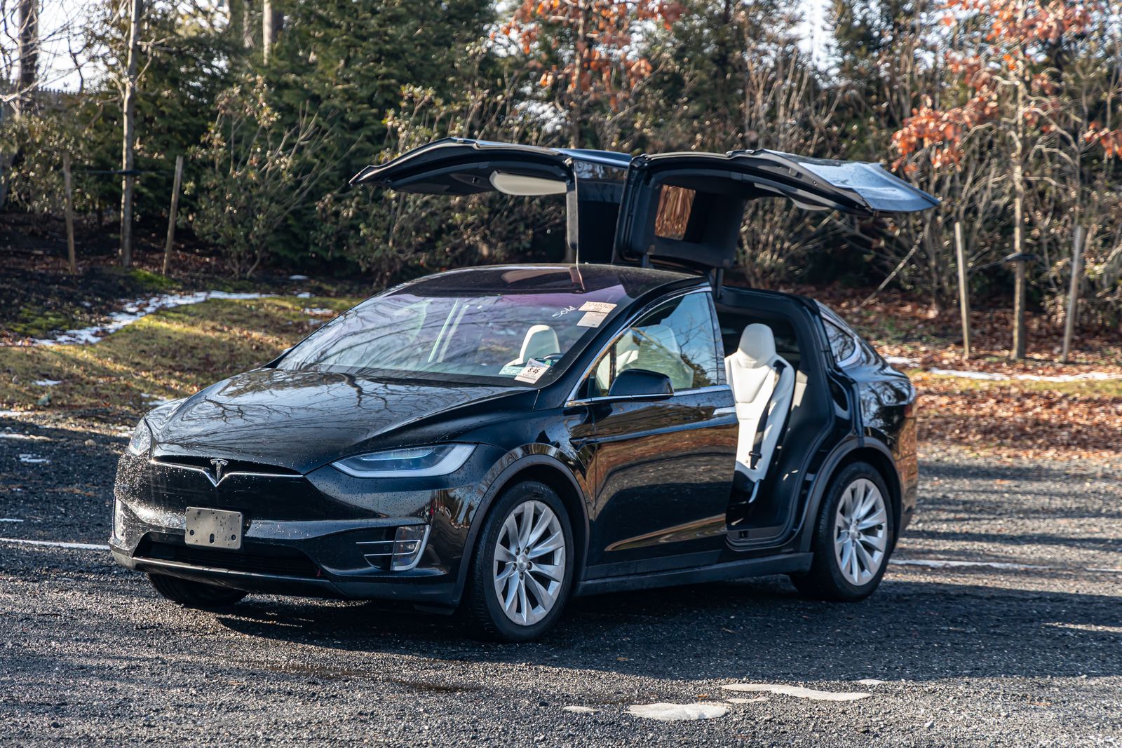 2018 Tesla Model X 75D's photo