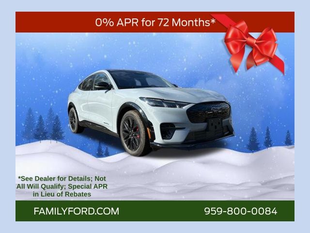 2025 Ford Mustang Mach-E Premium AWD's photo