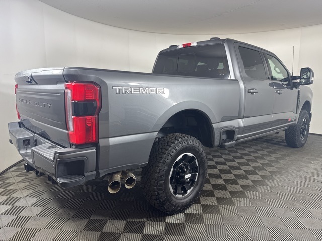 2025 Ford F-350 Platinum photo 3