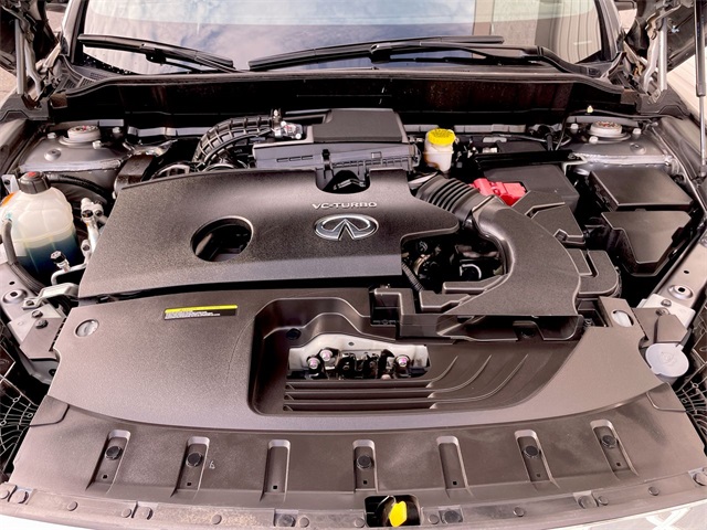2024 Infiniti QX55 Luxe photo 17