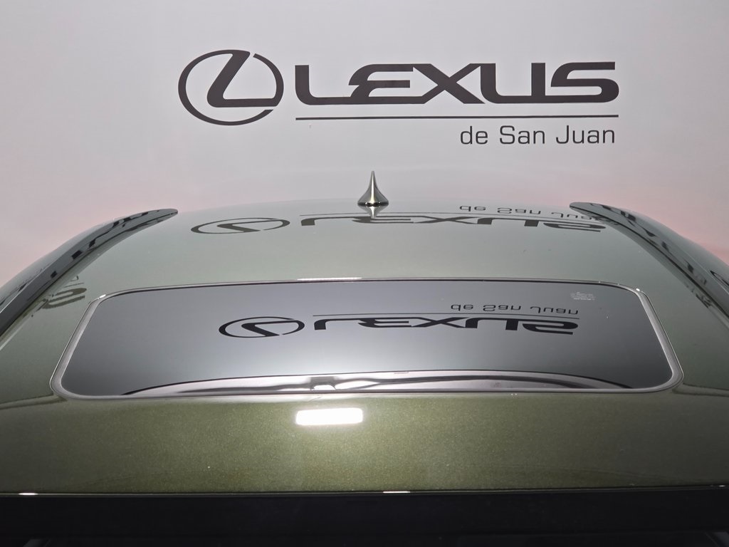 2025 Lexus NX 450h+ F SPORT photo 6