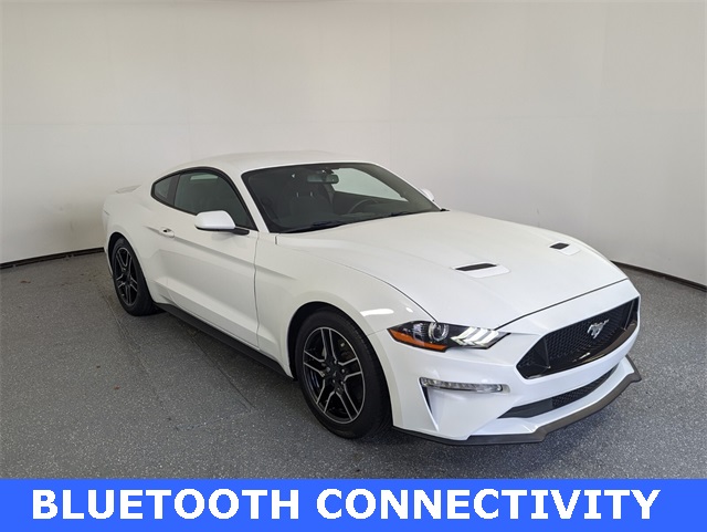 2019 Ford Mustang EcoBoost photo 2