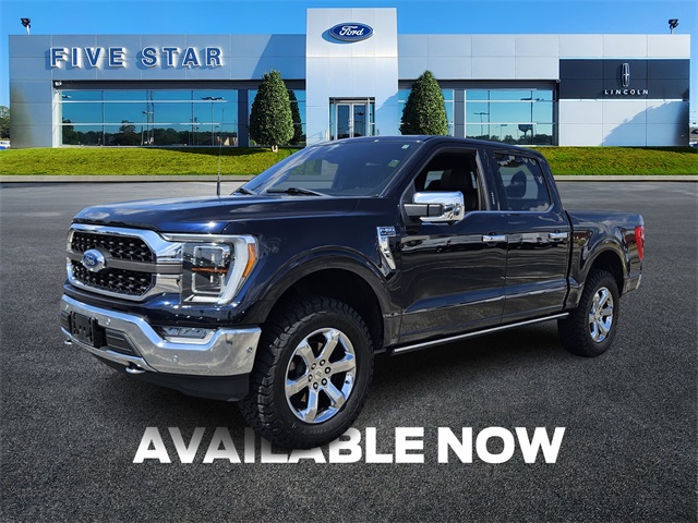 2021 Ford F-150 King Ranch photo 3
