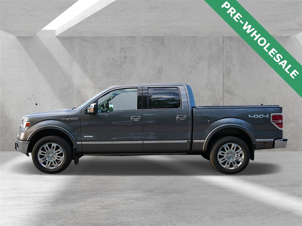2013 Ford F-150 Platinum photo 5