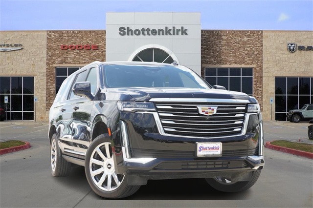 2024 Cadillac Escalade ESV Premium Luxury Platinum's photo