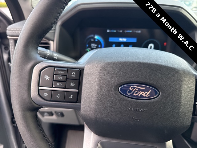 2025 Ford F-150 Lightning photo 15
