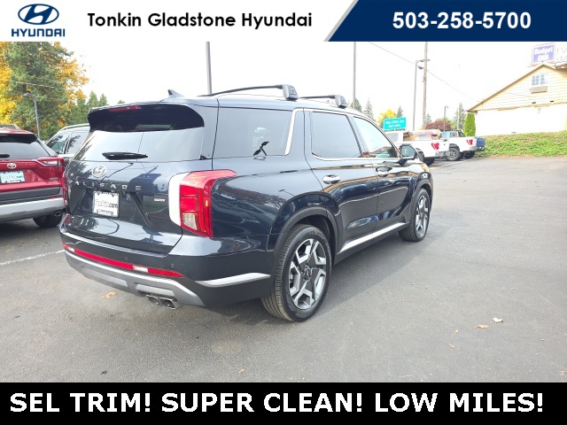 2023 Hyundai Palisade SEL photo 4