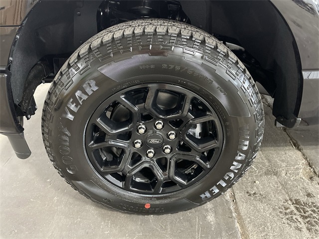 2025 Ford F-150 STX photo 21