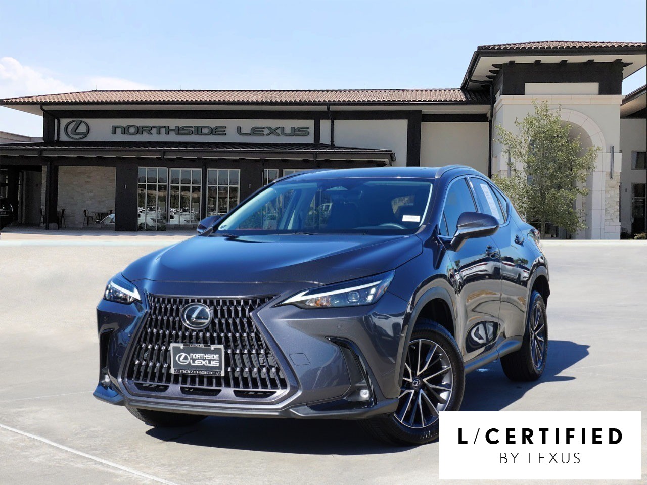 2023 Lexus NX 350's photo