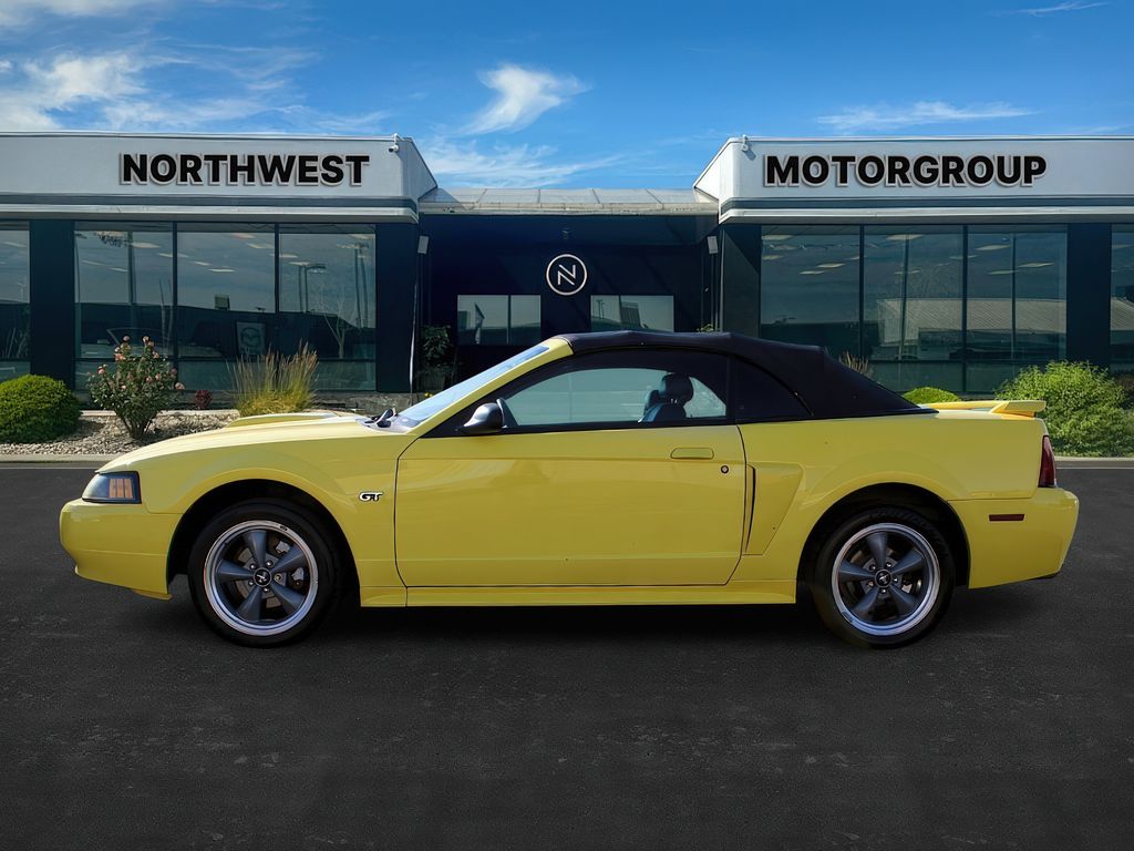 2002 Ford Mustang GT Deluxe photo 3