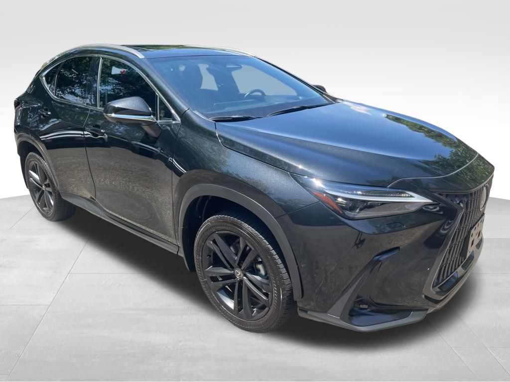 2024 Lexus NX 450h+ Luxury photo 9