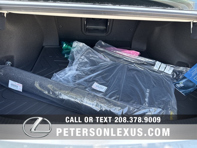 2025 Lexus ES 300h photo 16