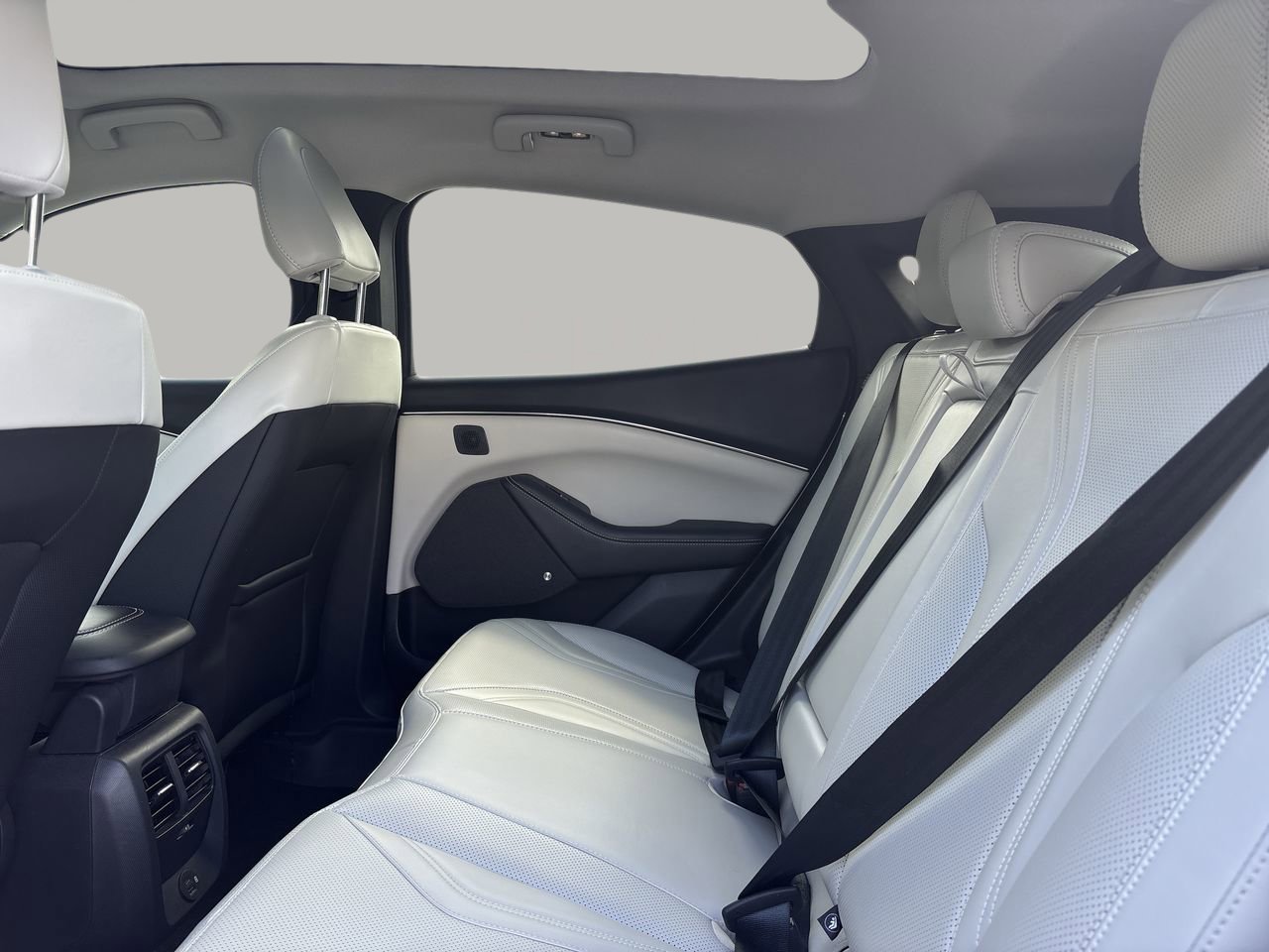 2021 Ford Mustang Mach-E Premium photo 12