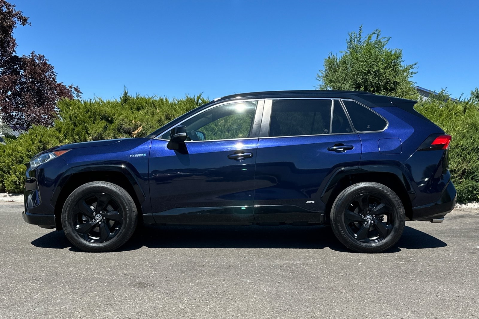 2019 Toyota RAV4 Hybrid XSE photo 7