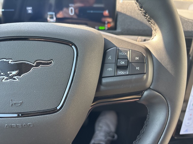 2025 Ford Mustang Mach-E Premium photo 18