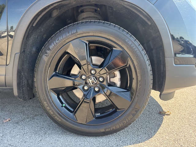 2019 Honda Passport Elite photo 5