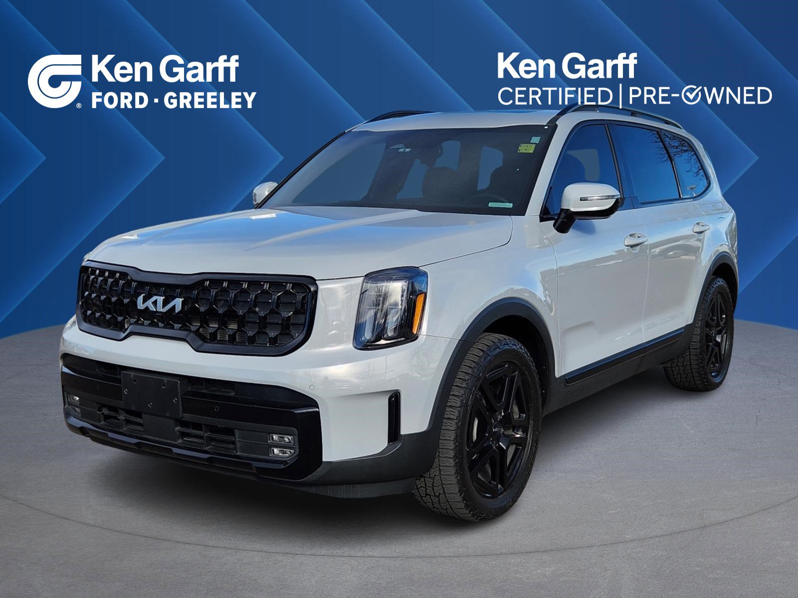 2024 Kia Telluride SX X-Line's photo