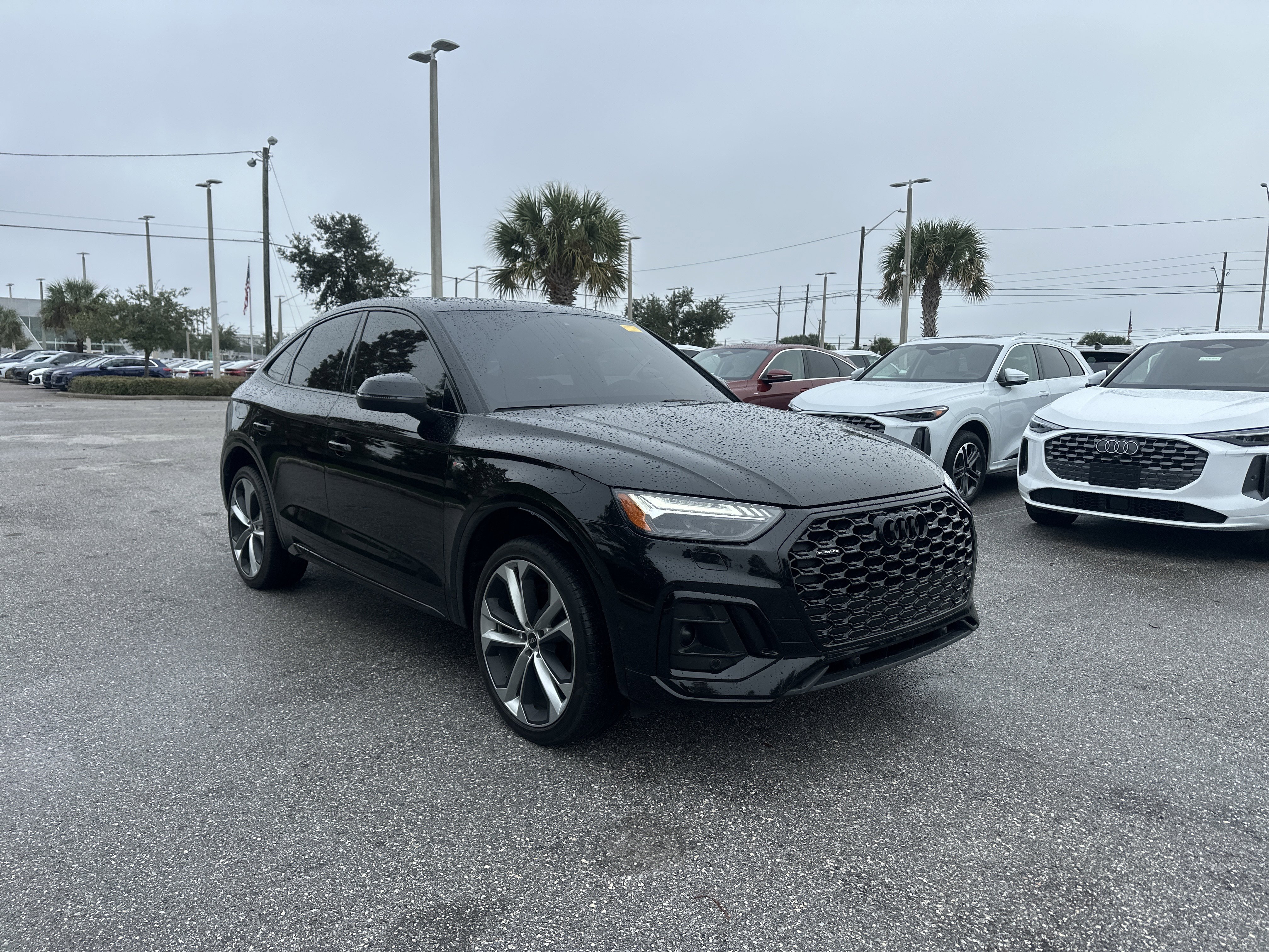 2023 Audi Q5 Sportback Prestige's photo