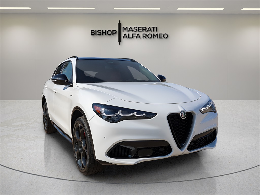 2025 Alfa Romeo Stelvio Base's photo