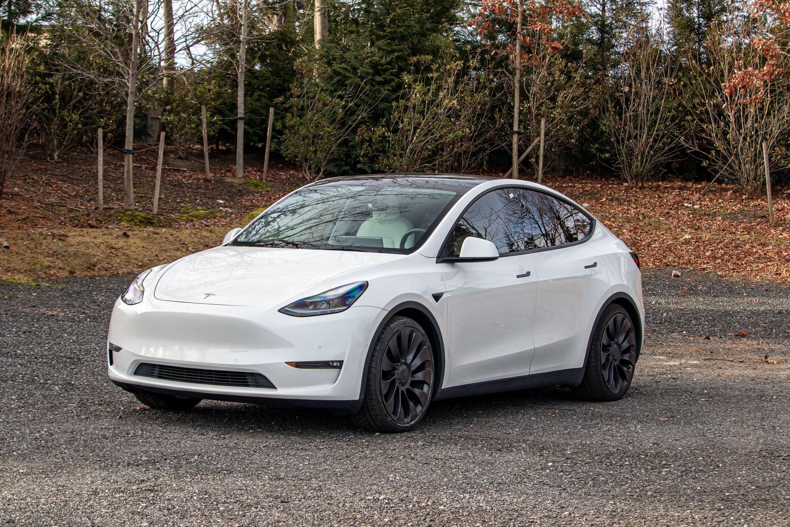 2021 Tesla Model Y Performance's photo
