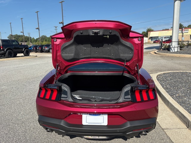 2025 Ford Mustang EcoBoost photo 23