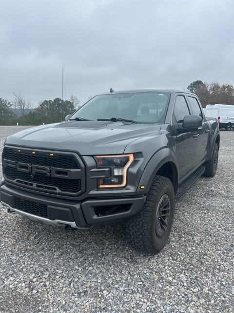 2020 Ford F-150 Raptor's photo