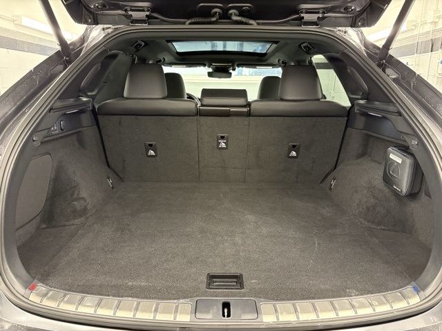 2024 Lexus RX 450h+ Luxury photo 22