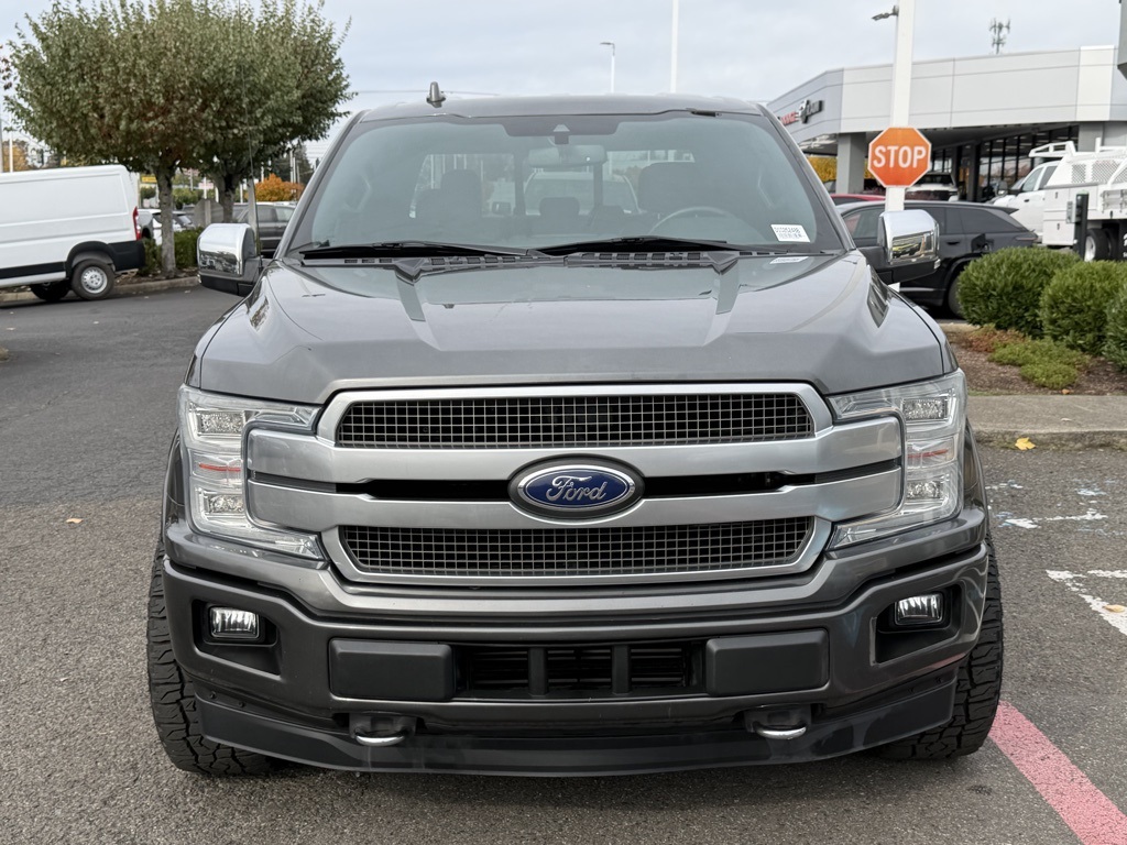2019 Ford F-150 Platinum photo 3