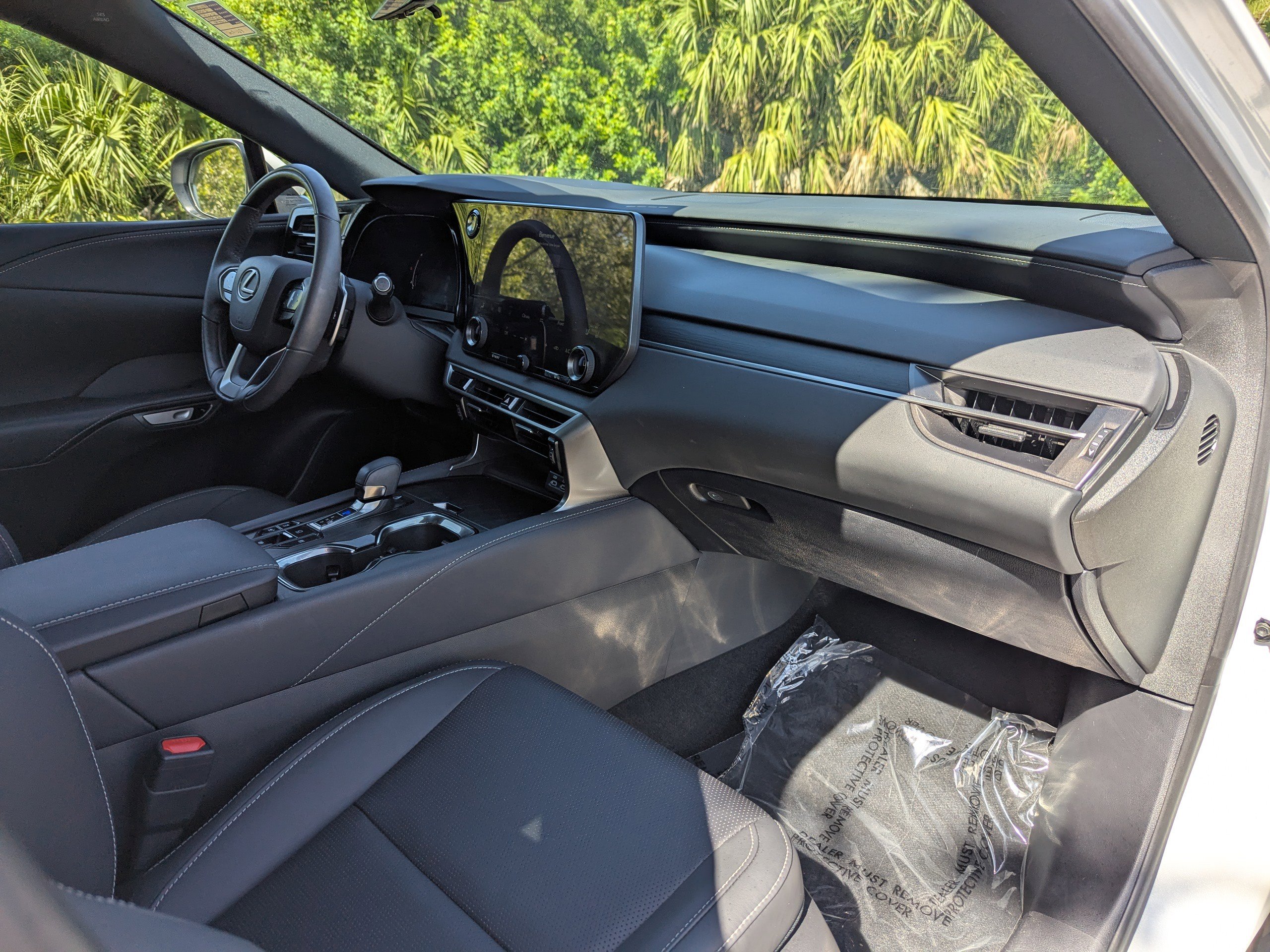2024 Lexus RX 350h photo 14