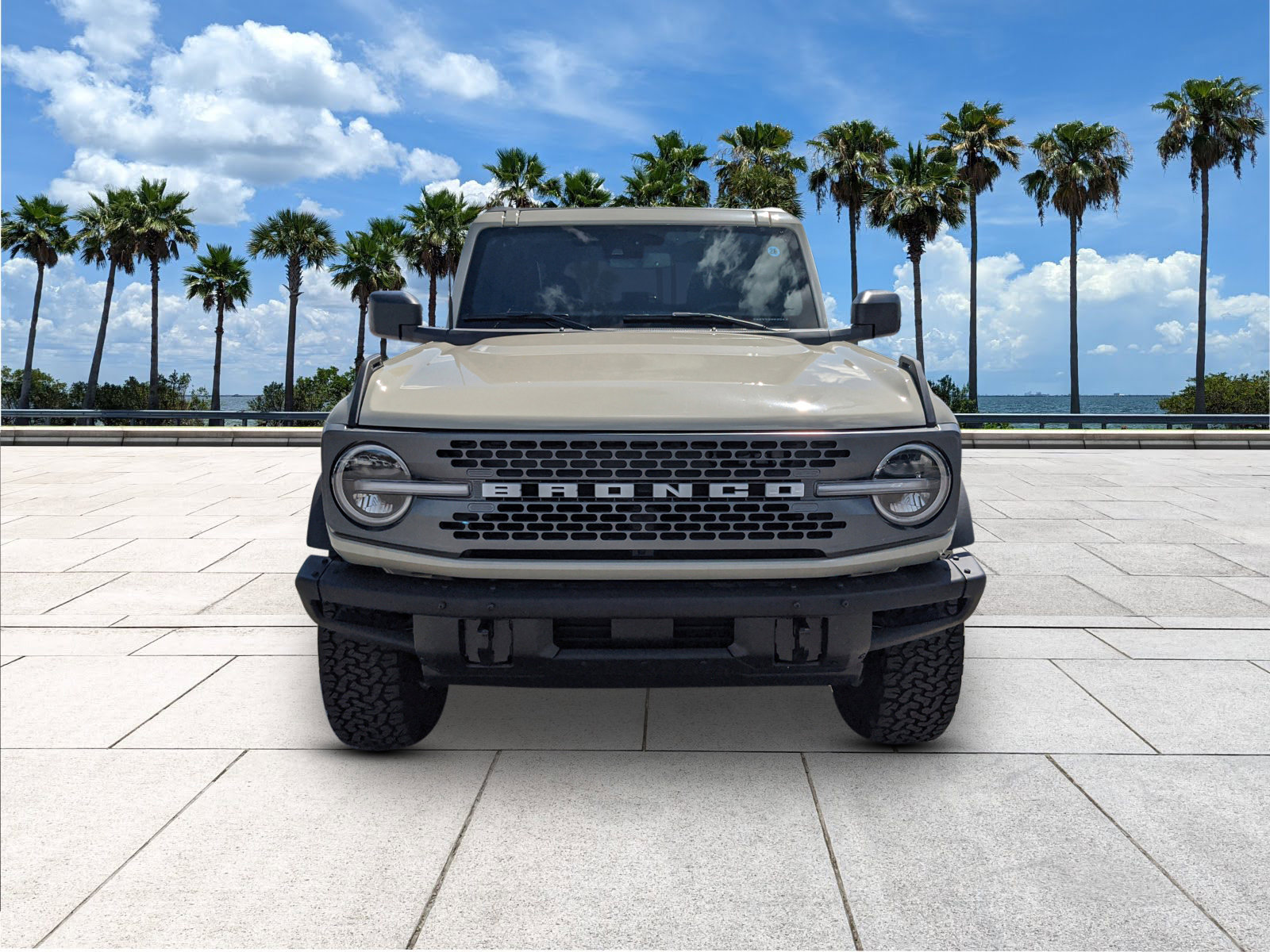 2025 Ford Bronco Badlands photo 3