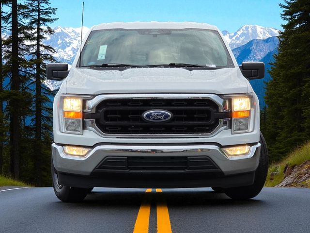 2022 Ford F-150 XLT photo 3