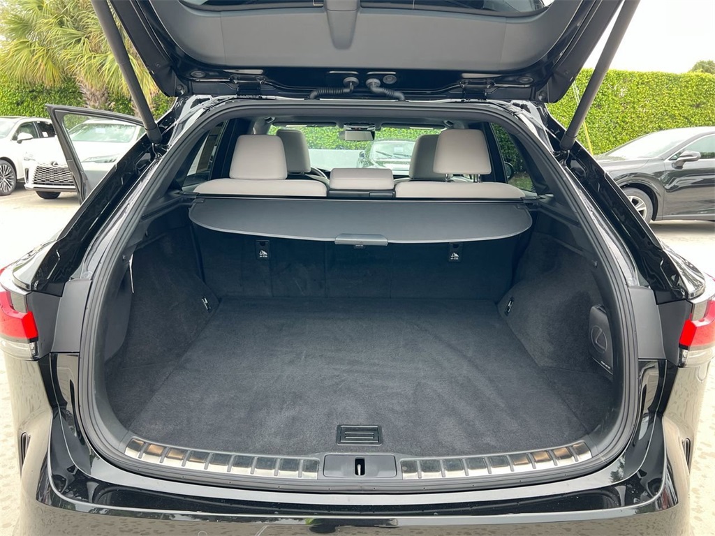 2024 Lexus RX 350 Premium photo 21
